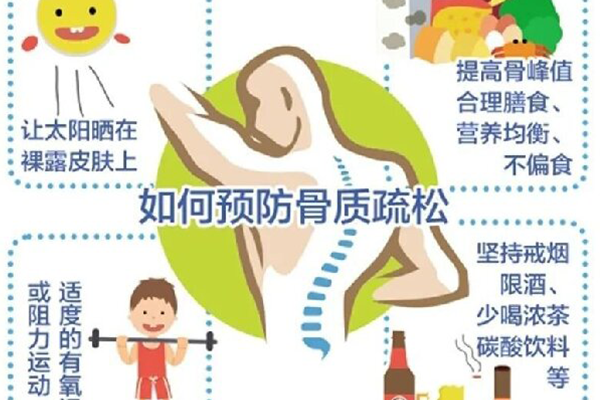 骨骼的营养需求