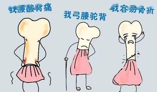 骨里乾坤：揭秘骨密度与生活质量的隐形纽带