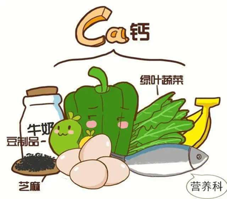 解锁骨骼“长寿密码”：预防骨质疏松的科学新主张