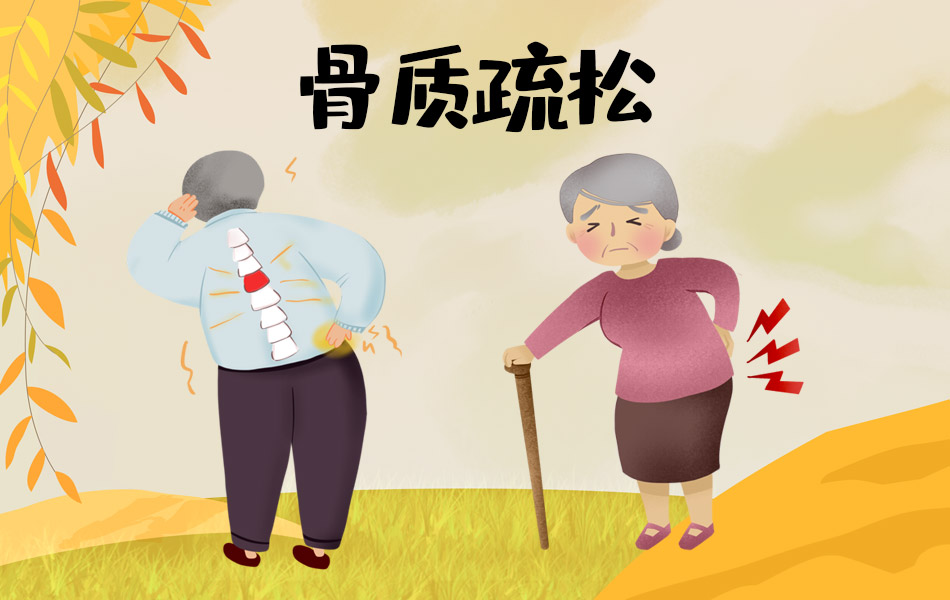 无辐射<span style='color:red'><span style='color:red'><span style='color:red'>精准</span></span></span>筛查：超声骨密度仪如何革新骨质疏松早期诊断