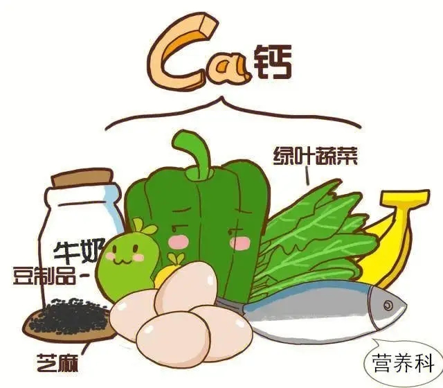 骨头悄悄 “变脆”？身体发出的这些信号，别等疼了才重视