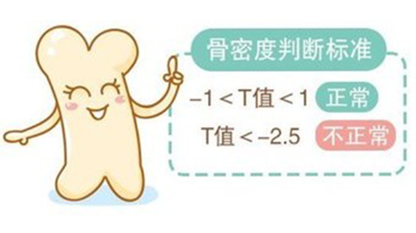 骨密度 T 值和 Z 值有何不同？辛宇弘医疗超声骨密度仪来解答​
