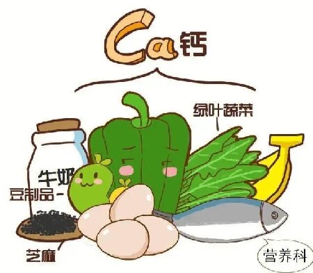 双能 X 射线骨密度仪：筑牢骨质疏松防治的 “检测防线”