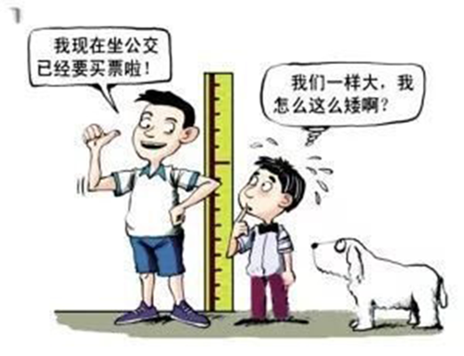 认识骨密度，解码儿童成长的生物时钟