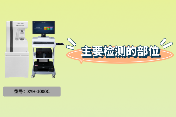 双能X射线骨密度仪：主要检测的部位是什么？