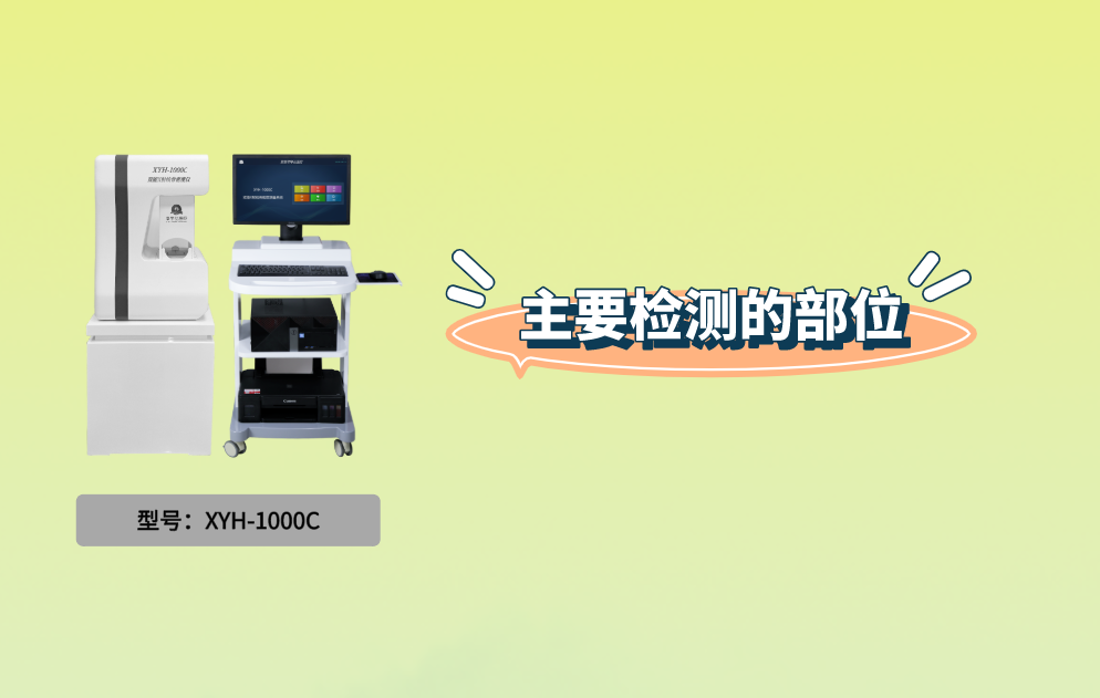 双能X射线骨密度仪：主要检测的部位是什么